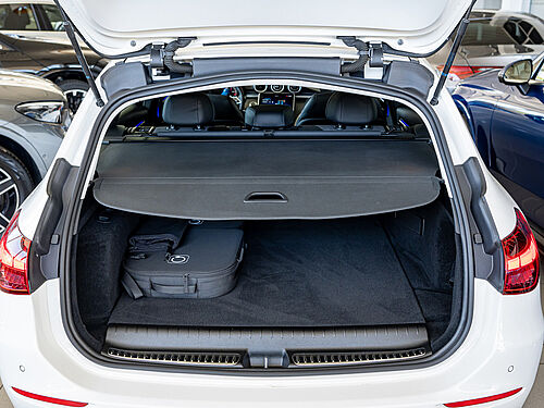 Menden Mercedes-Benz C 300 Fahrzeugbild - 18