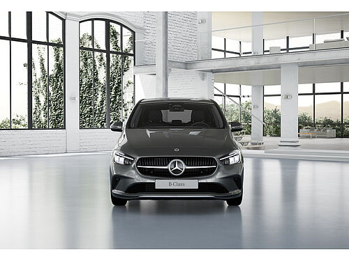 Stendal Mercedes-Benz B 250 Fahrzeugbild - 12