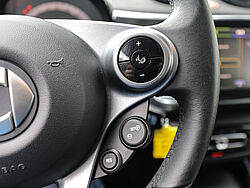 Paderborn Smart forfour Fahrzeugbild - 18